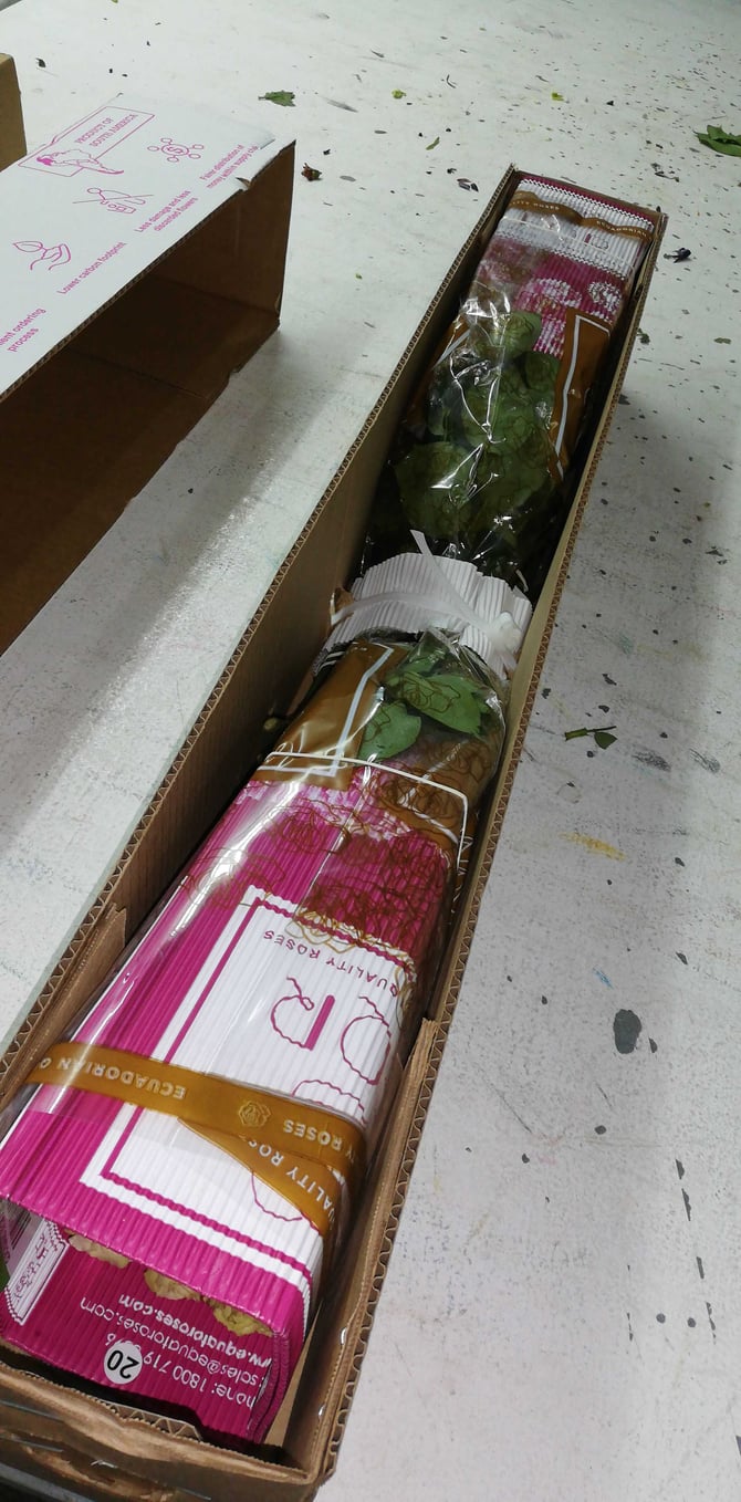 iBuyFlowers_Quality_Control_6