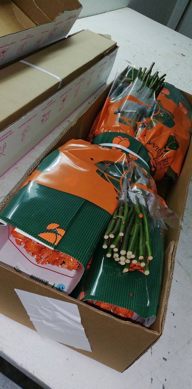 iBuyFlowers_Quality_Control_2